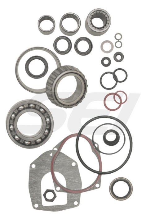 Seal & Bearing Kit